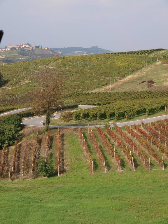La Terrazza Del Barbaresco Bed & Breakfast Neviglie Bagian luar foto