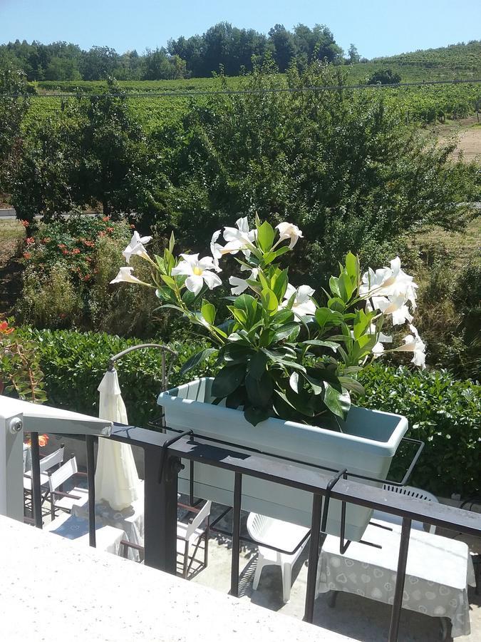 La Terrazza Del Barbaresco Bed & Breakfast Neviglie Bagian luar foto